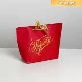 Пакет подарочный Поздравляю