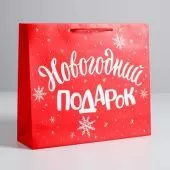 Пакет Новогодний подарок